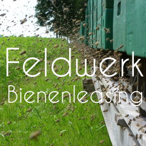 Feldwerk-Bienenleasing