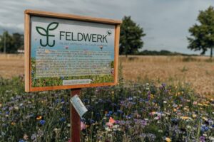 Homepage Wiesenshoot0012