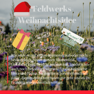 Feldwerk-Weihnachtsangebot