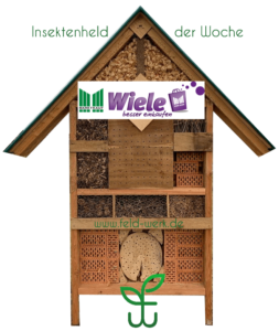 Insektenhotel wiele