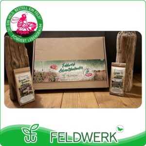 Feldwerk Adventskalender