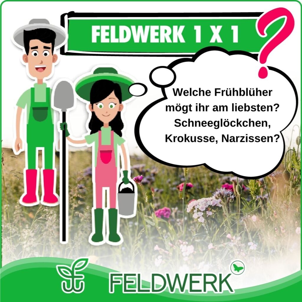 Feldwerk 1x1 Fruehblueher