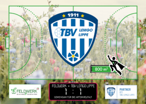 800m²_TBV_Lippe