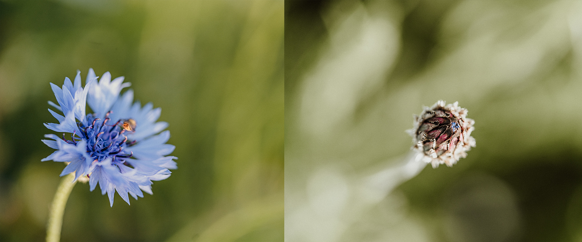 Startseite_Header_Bild