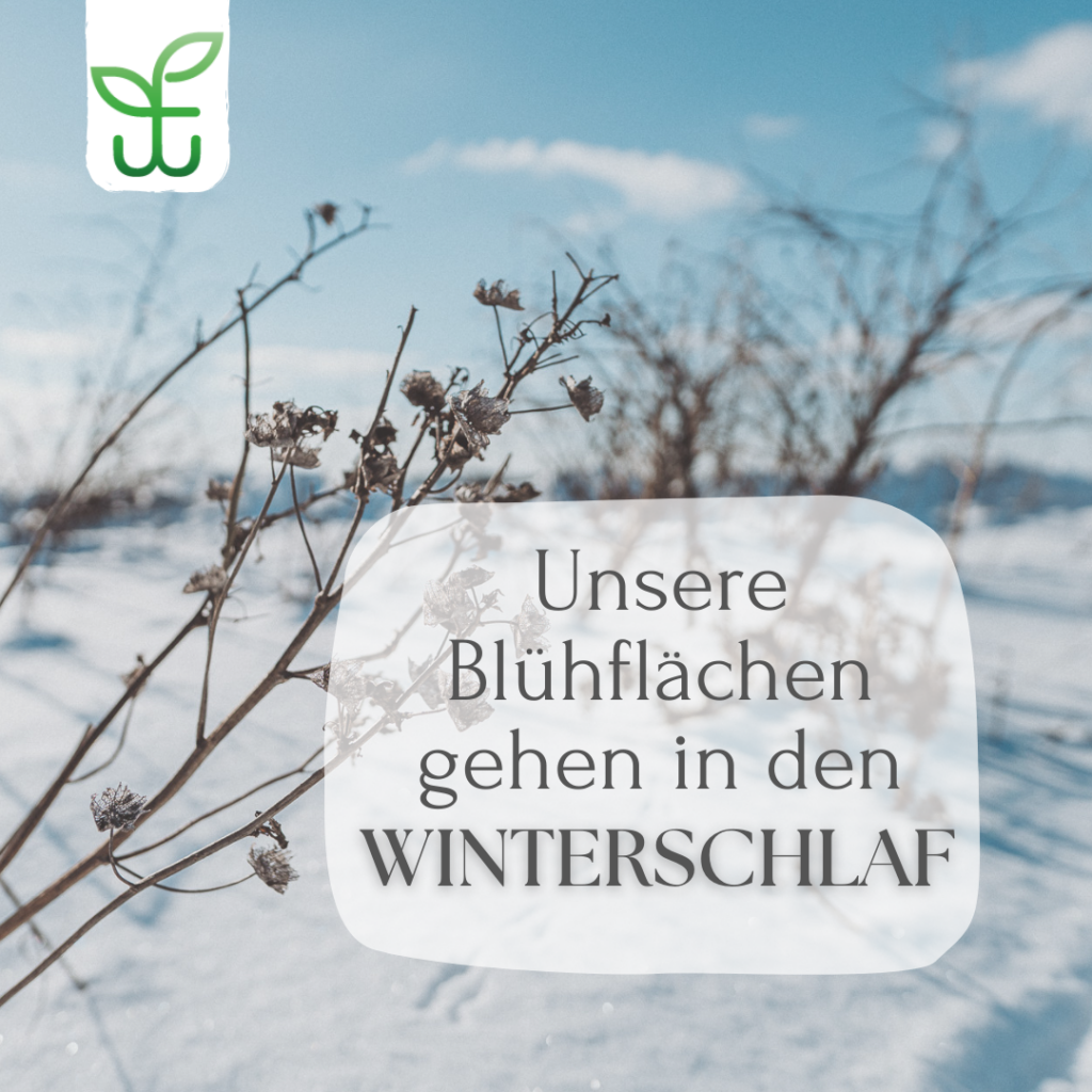 Artenschutz kennt keine Winterpause Winterschlaf