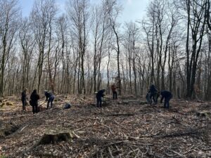 Kunden in Aktion: Feldhelden forsten das Wiehengebirge auf!
