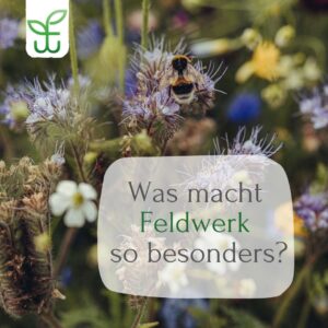 Was macht Feldwerk besonders?