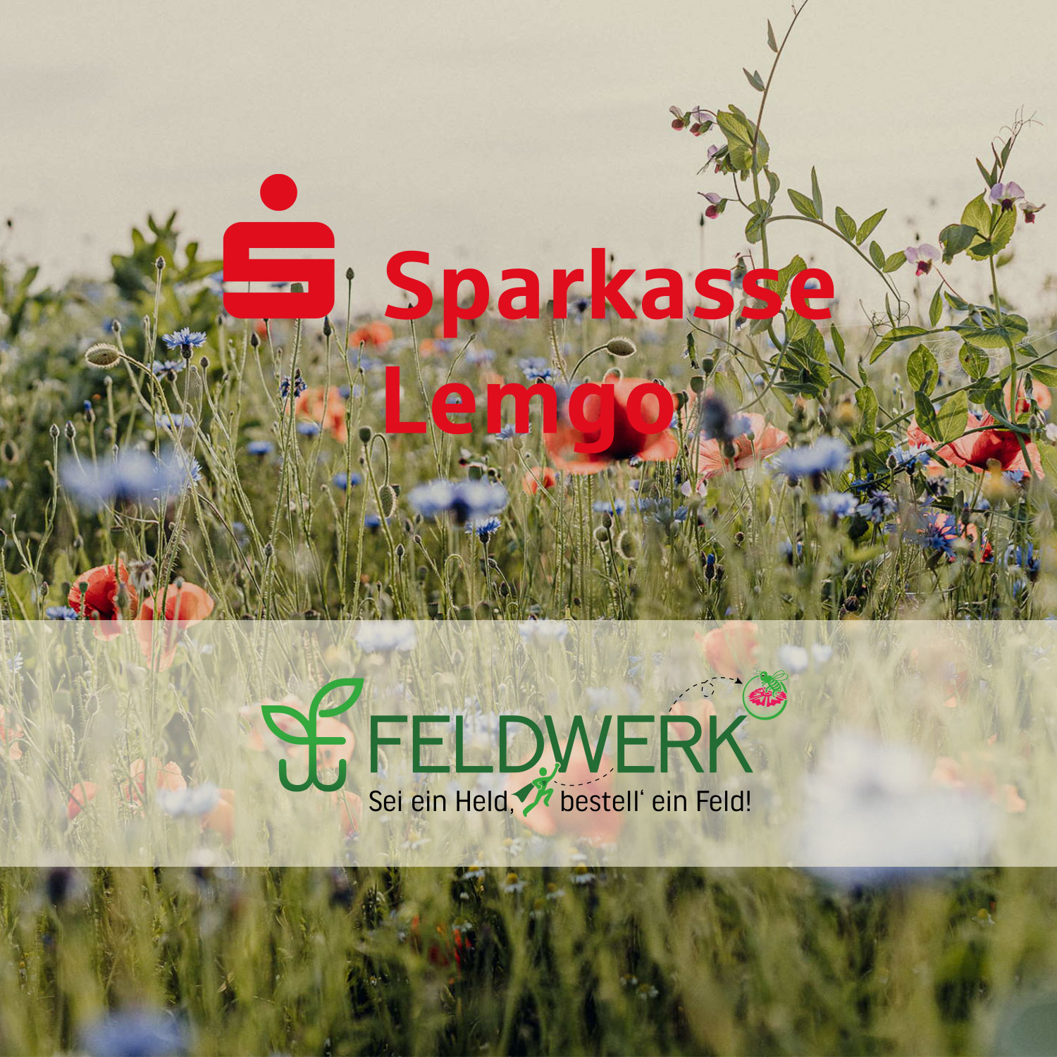 sparkasse lemgo 1