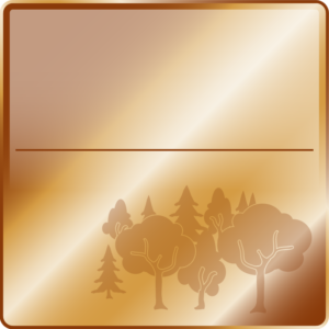 Waldpatenschaft_Bronze