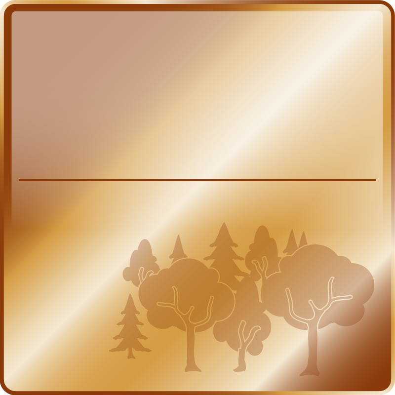 Waldpatenschaft_Bronze