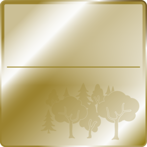 Waldpatenschaft_Gold