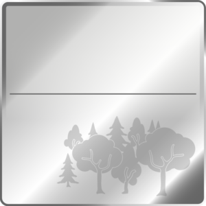 Waldpatenschaft_Silber