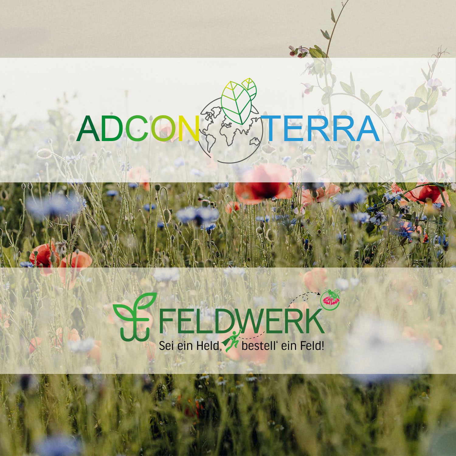 adcon terra