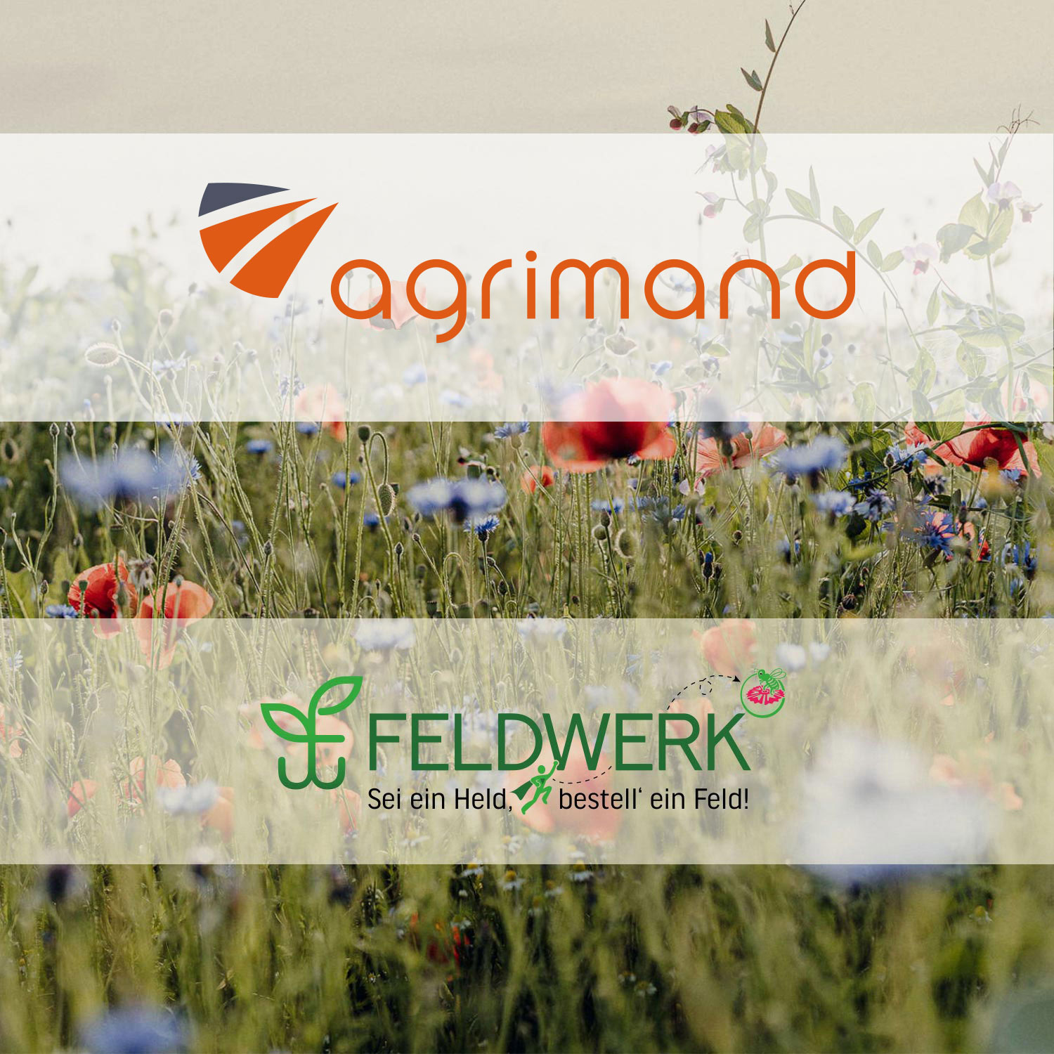 agrimand 1