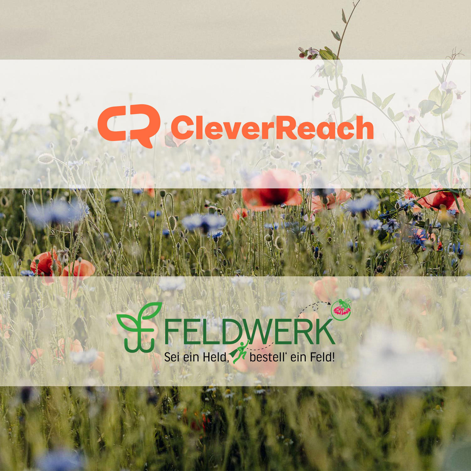 cleverreach