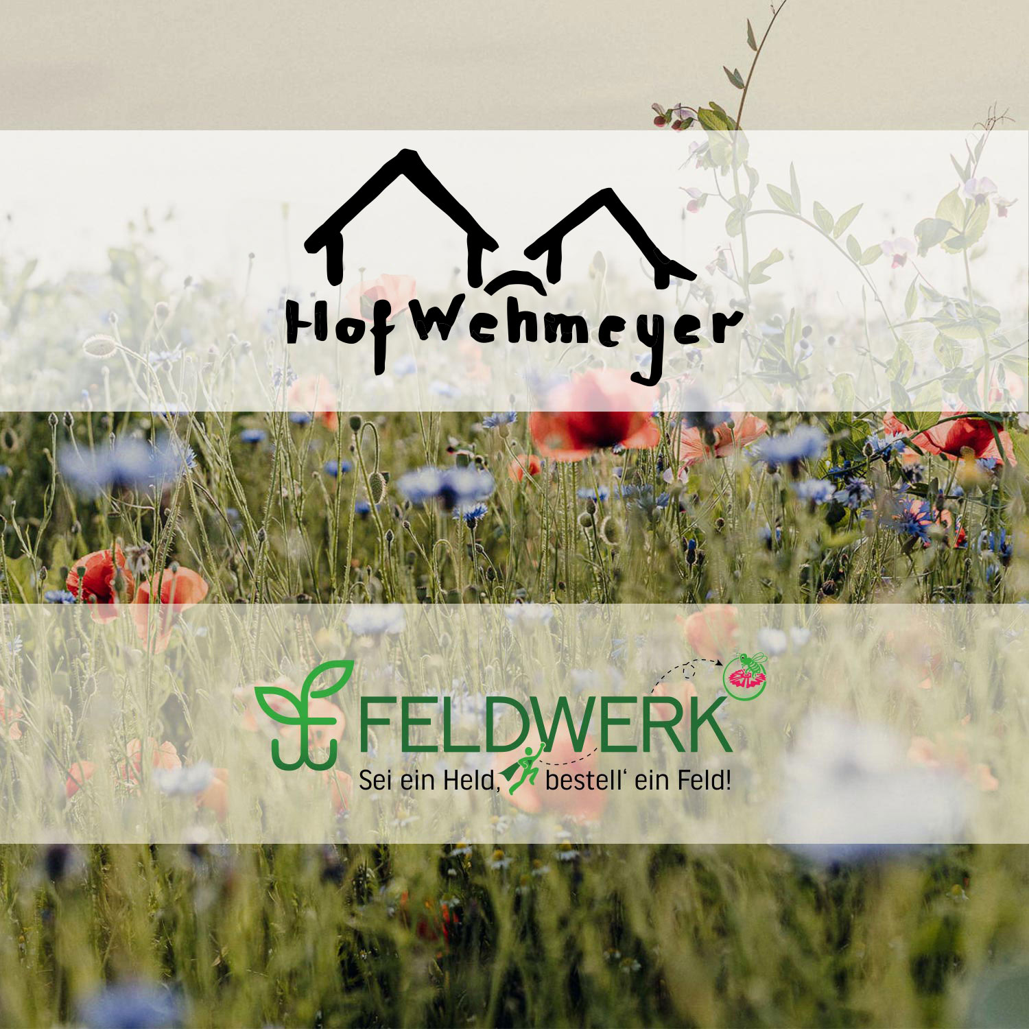 hof wehmeyer