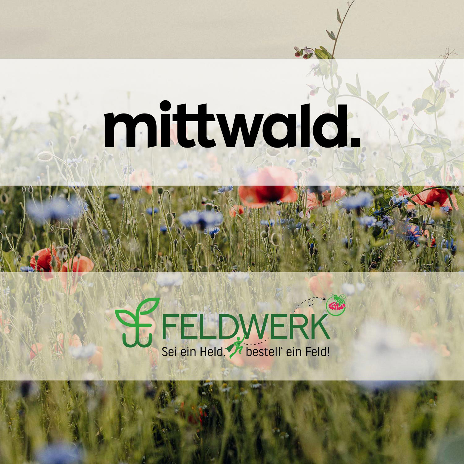 mittwald