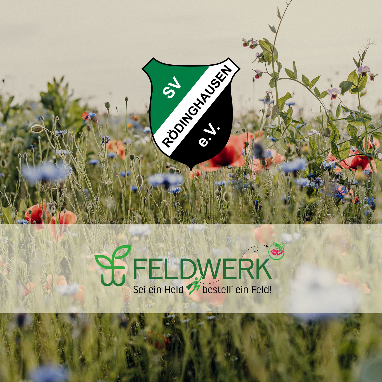 Kooperationspartner SV Rödinghausen