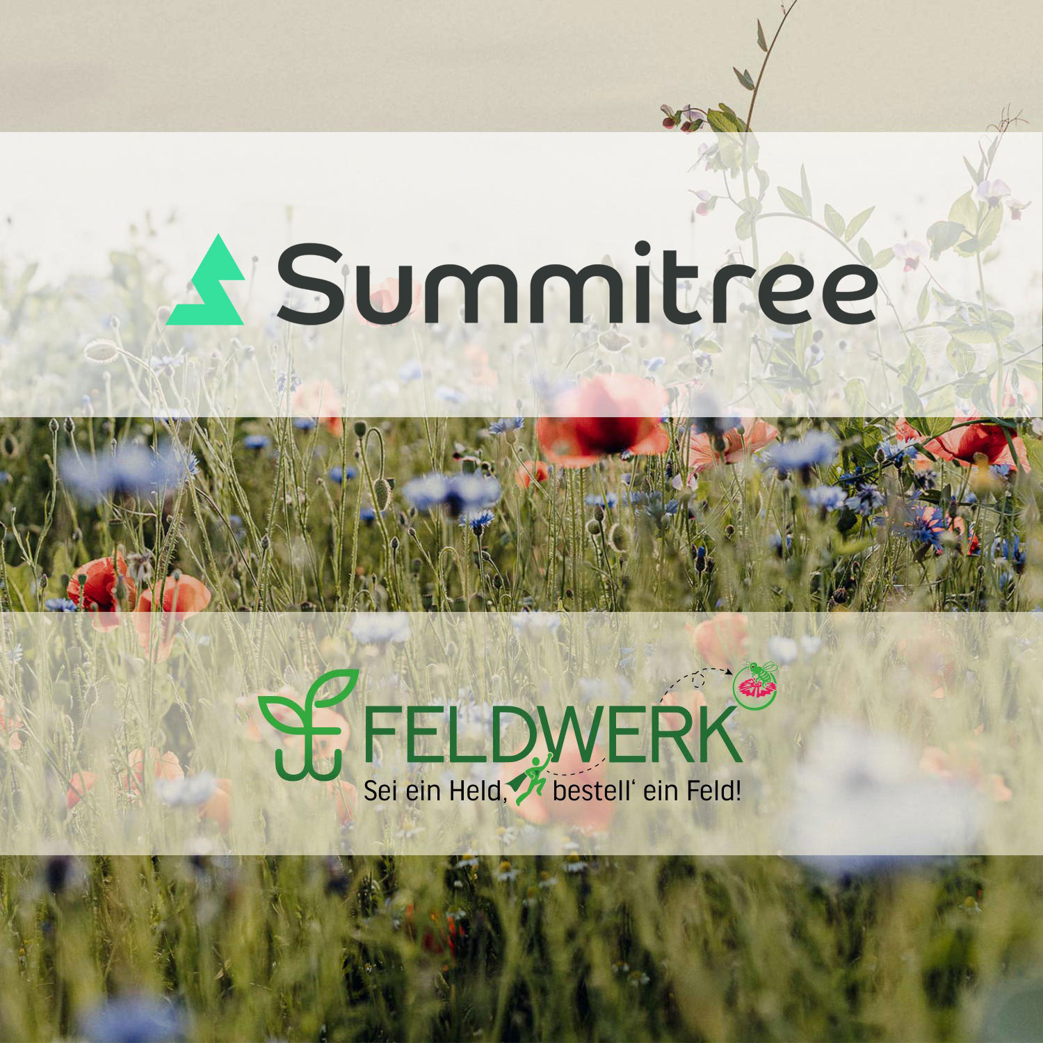 summitree