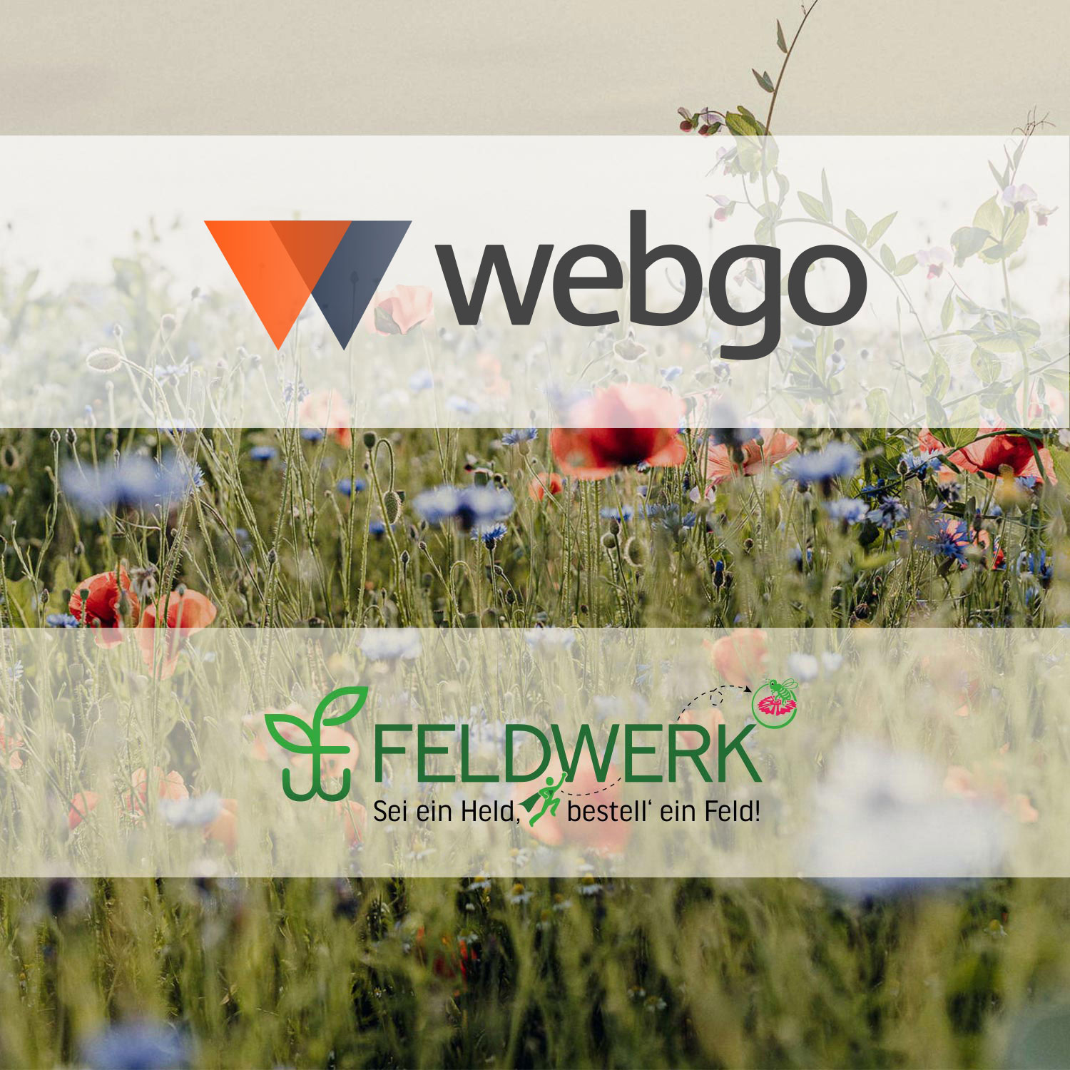 webgo