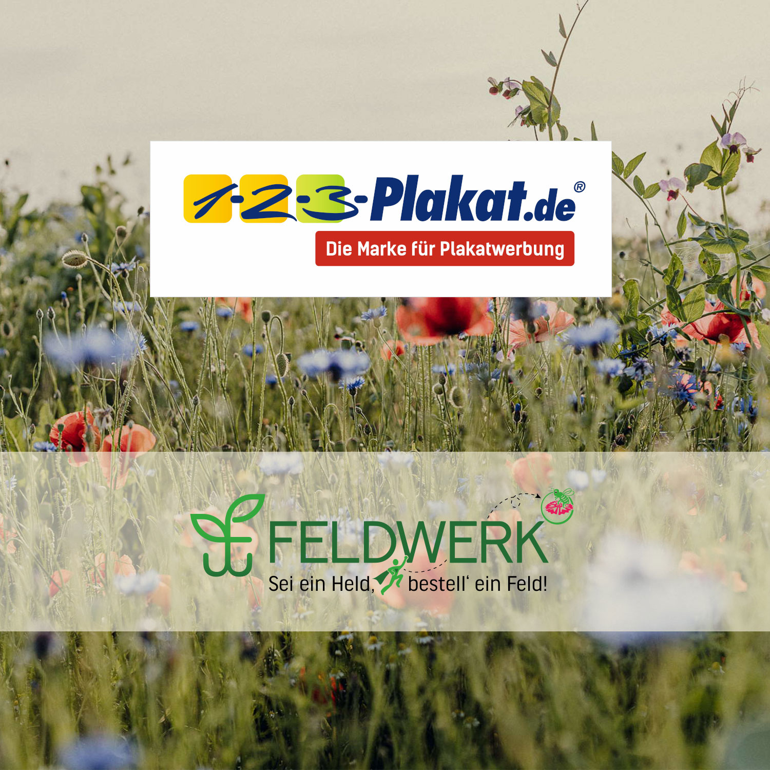 Partnercard Feldwerk - 1-2-3 Plakat