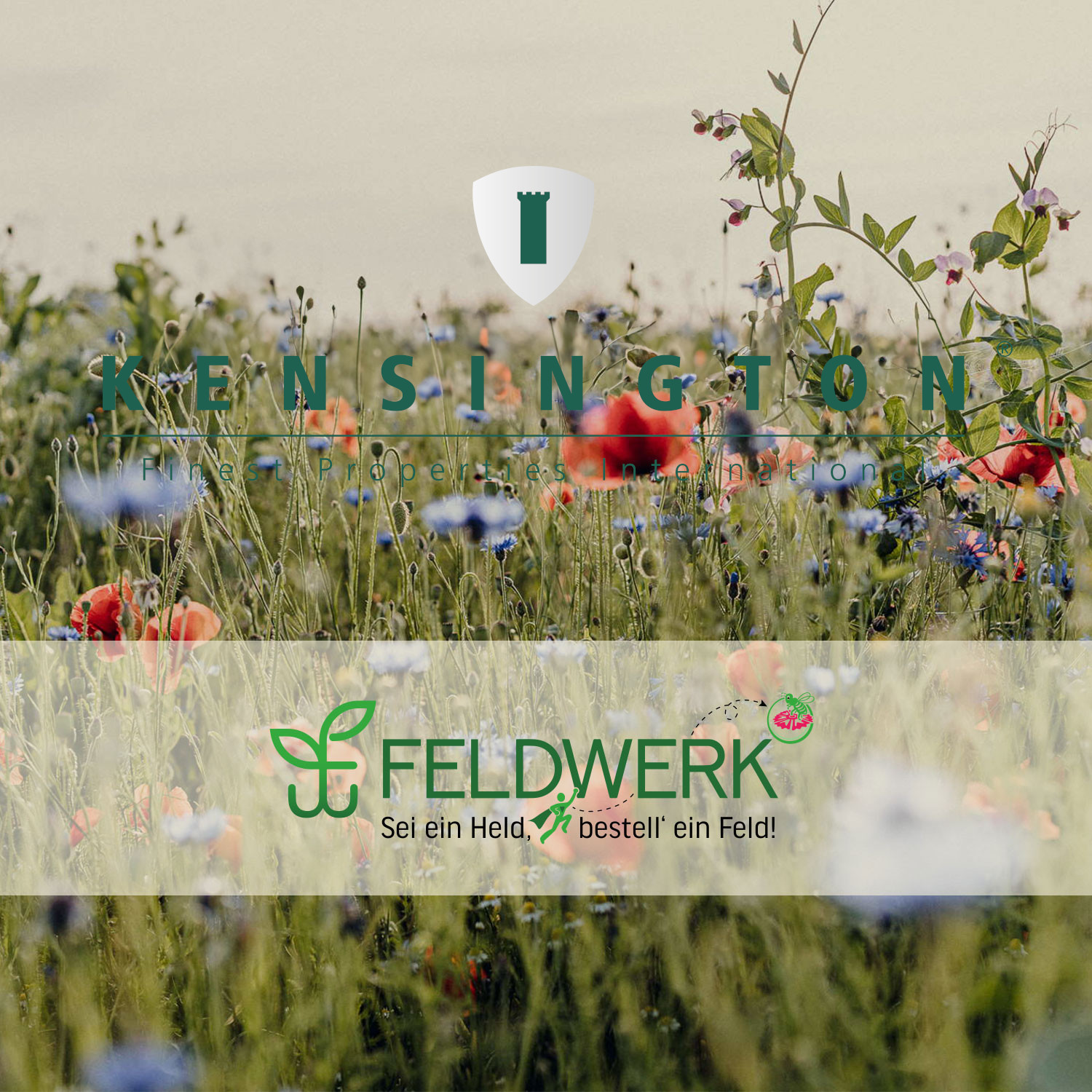 Kooperationspartner Kensingtion International Properties