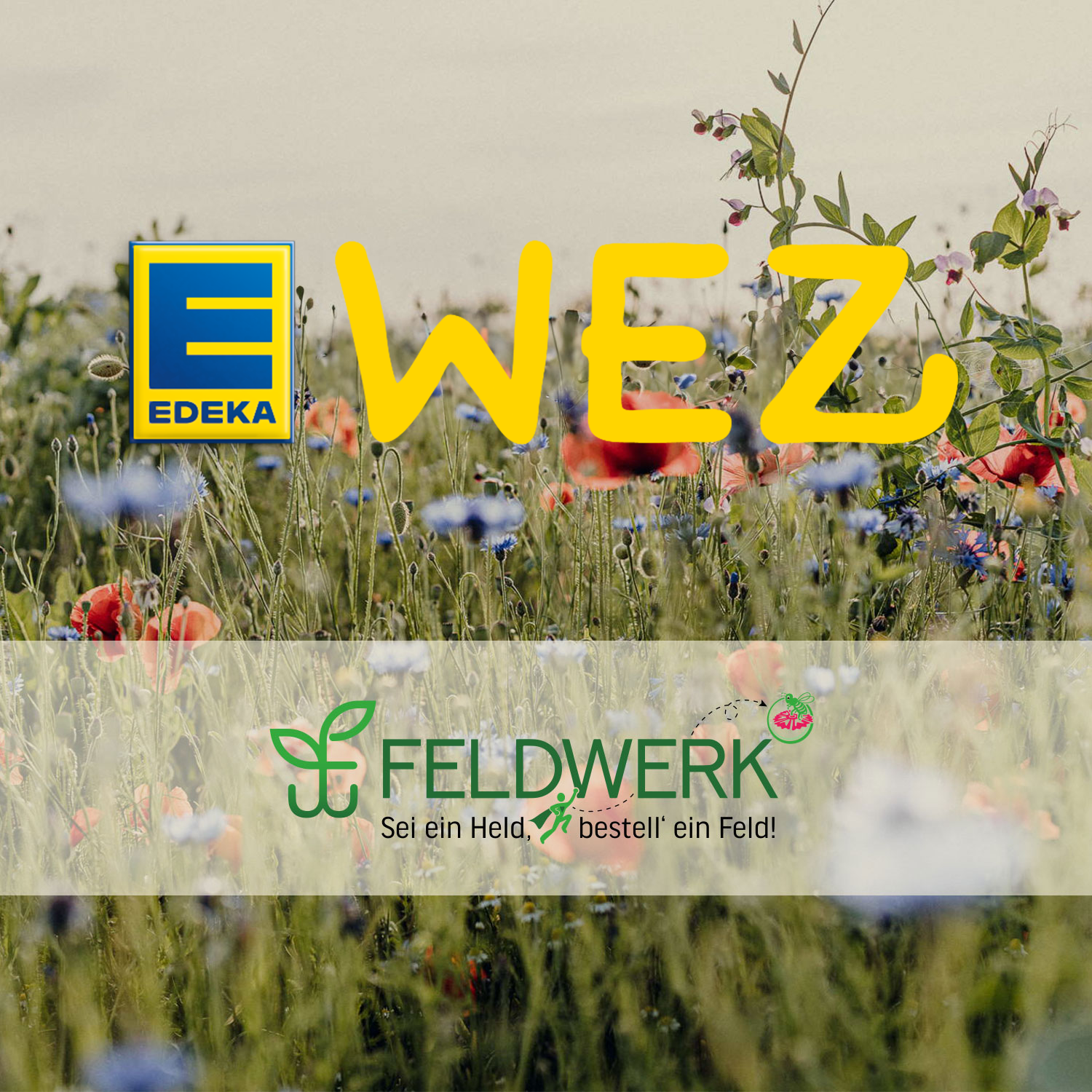 WEZ EDEKA Partnerkarte