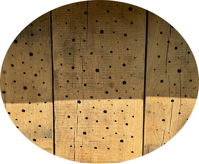 Material Insektenhotel Hartholz