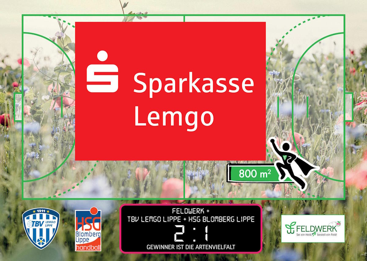 13 Feldwerk TBV HSG Sparkasse