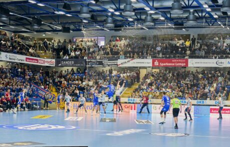 TBV Lemgo Lippe 8 feldwerk tbv partnerschaft 004 460x295 1