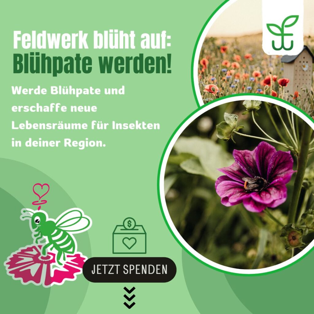 Feldwerk Crowdfunding-Aktion