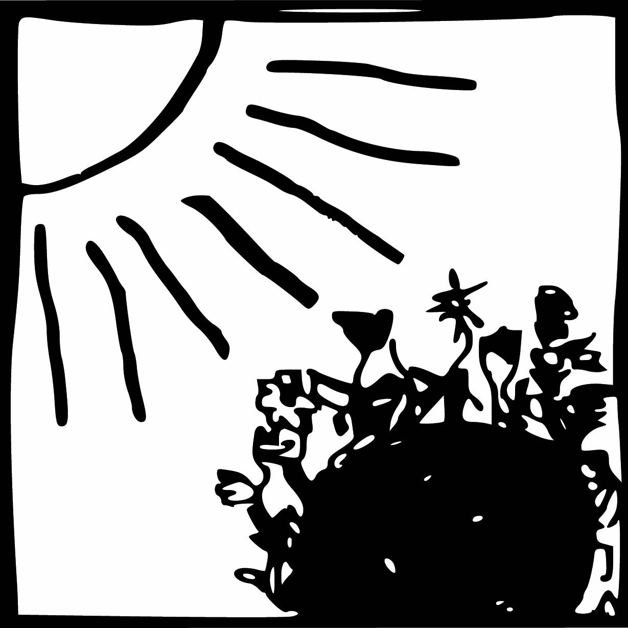 Feldwerk Saatgut Aussaat Schritt 3