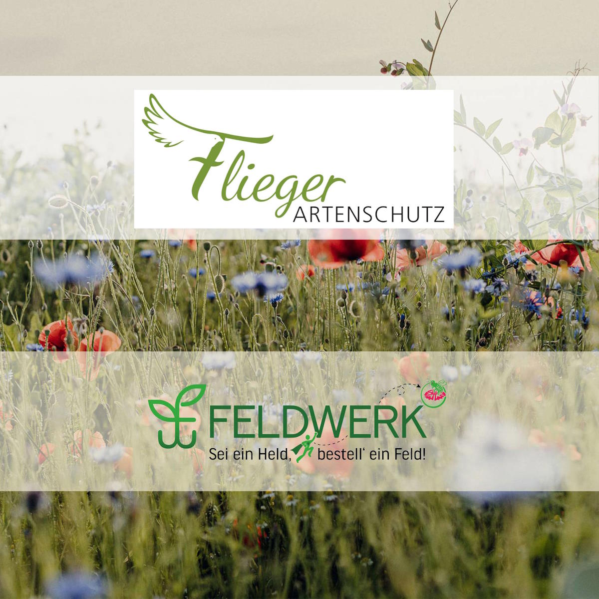 Feldwerk Partner Flieger Artenschutz