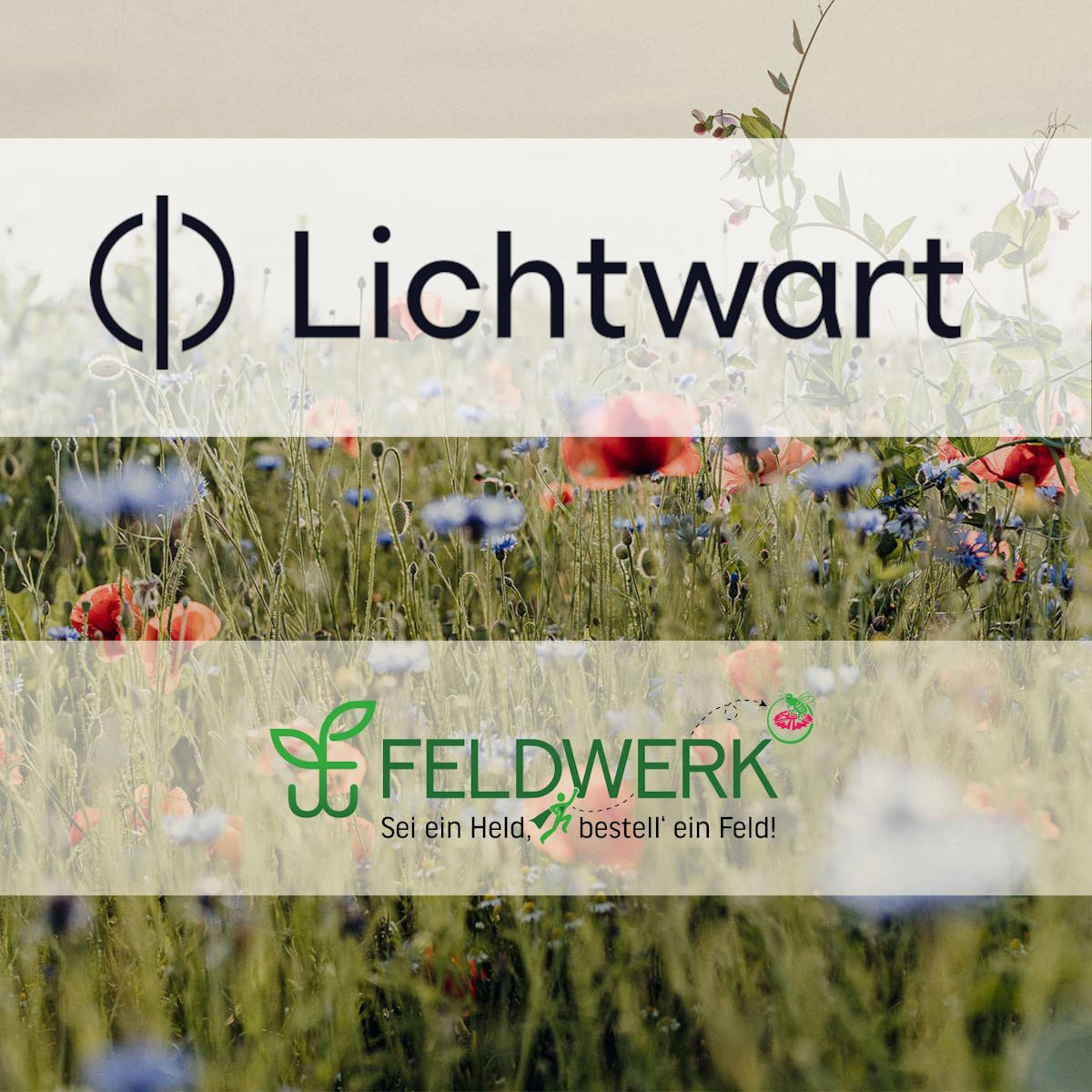 Feldwerk Partner Lichtwart