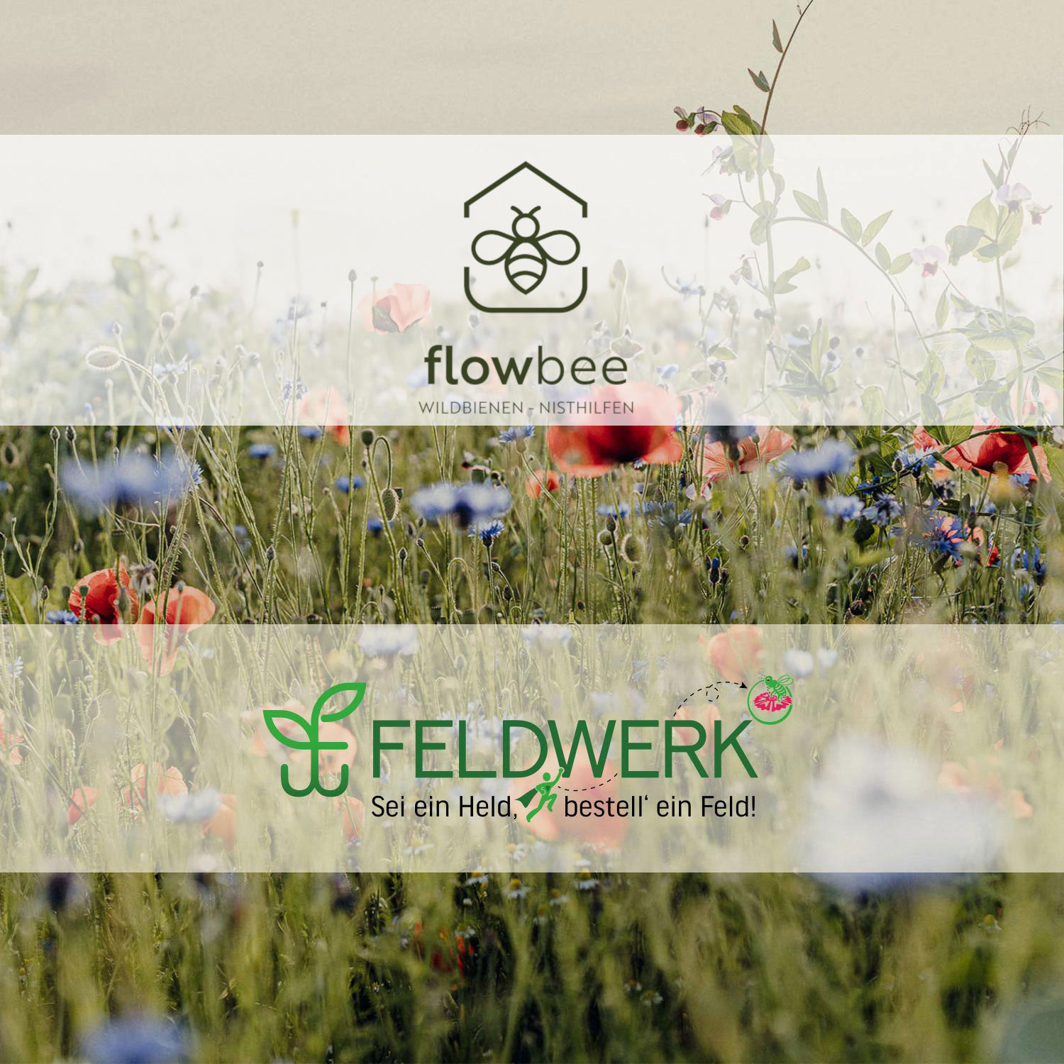 Kooperationspartner_FlowBee