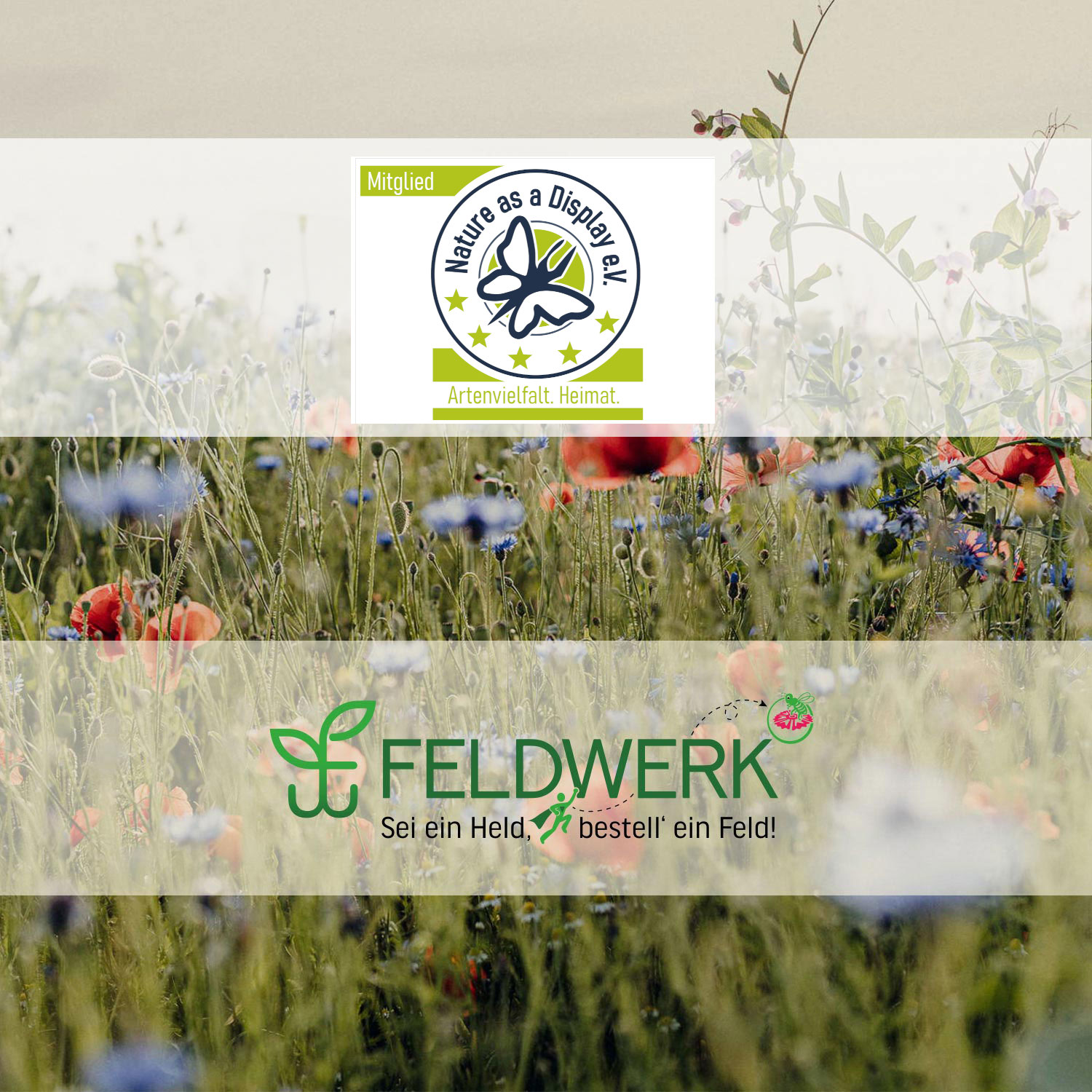 Kooperationspartner_Nature_as_a_Display