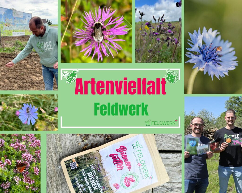 Collage zum Thema Artenvielfalt