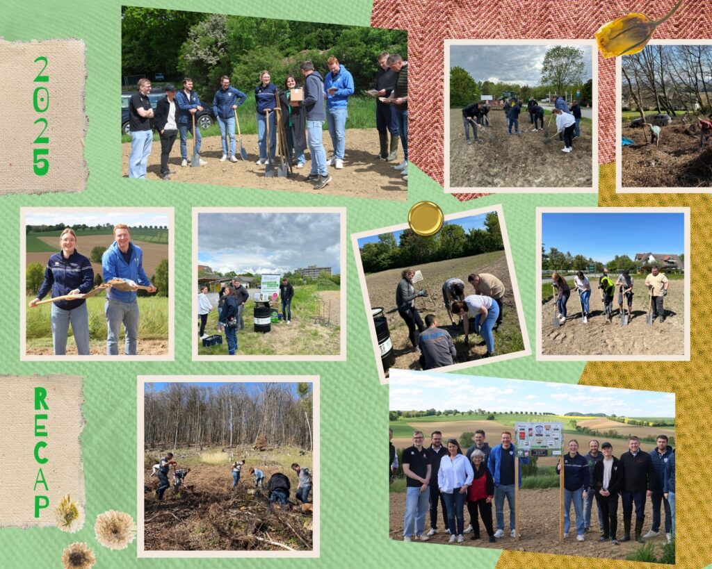 🌱 Gemeinsam wachsen – im Team und mit der Natur! 🌼 Rückblick Feldwerk Teamevents