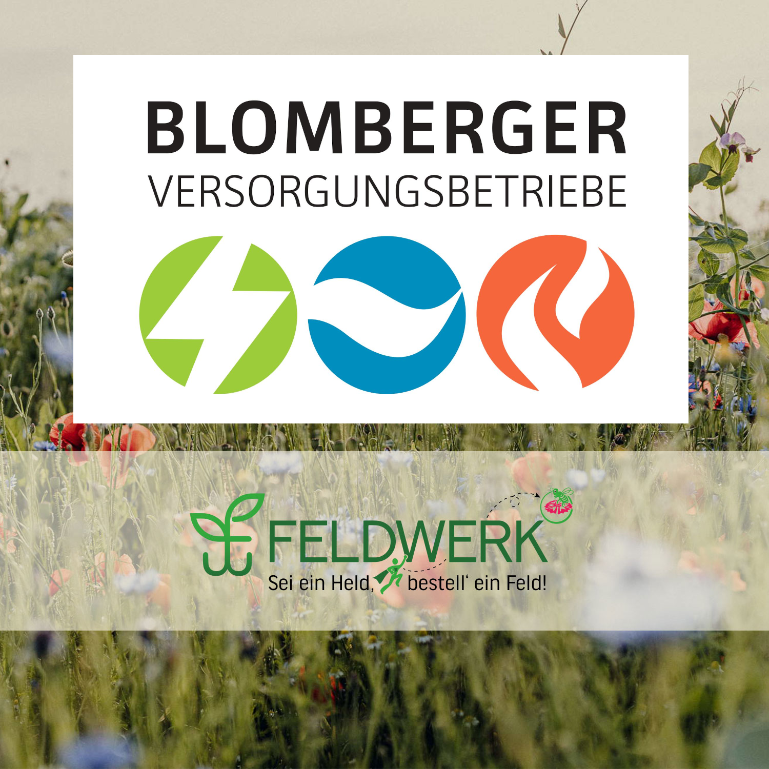 Kooperationspartnergrafik Blomberger Versorgungsbetriebe