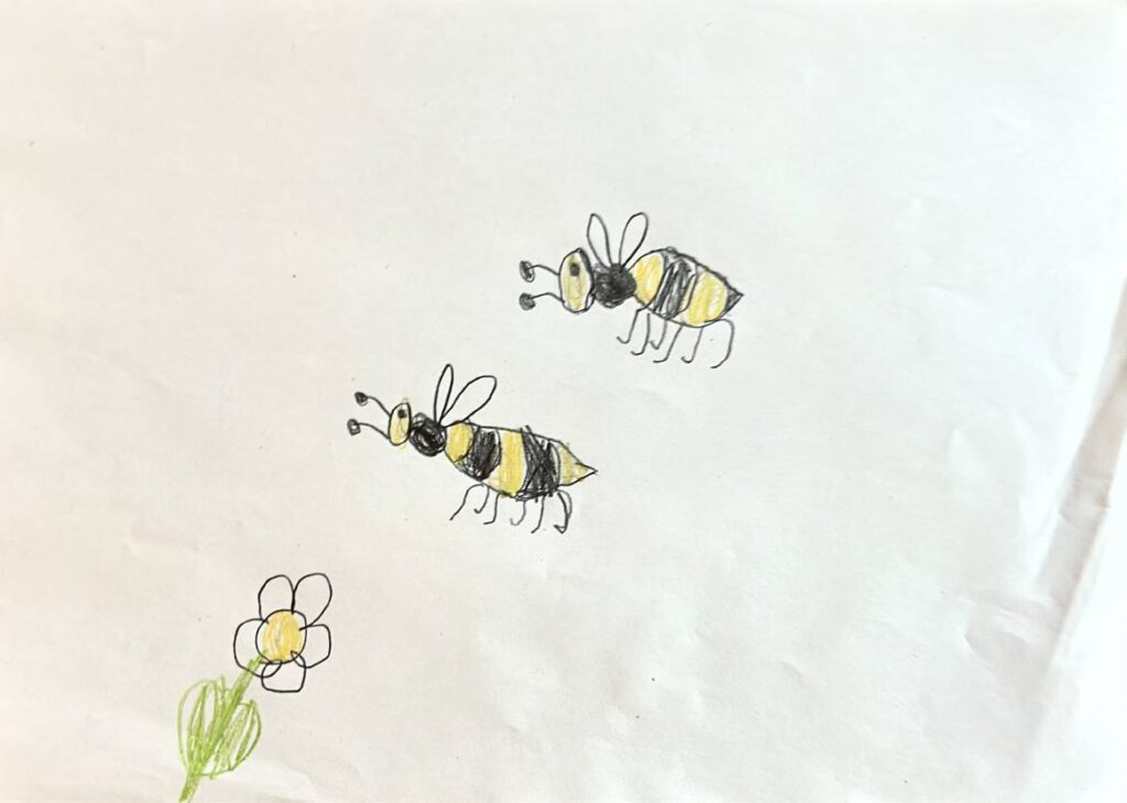 Bienenstunde Bienen 3 page 19