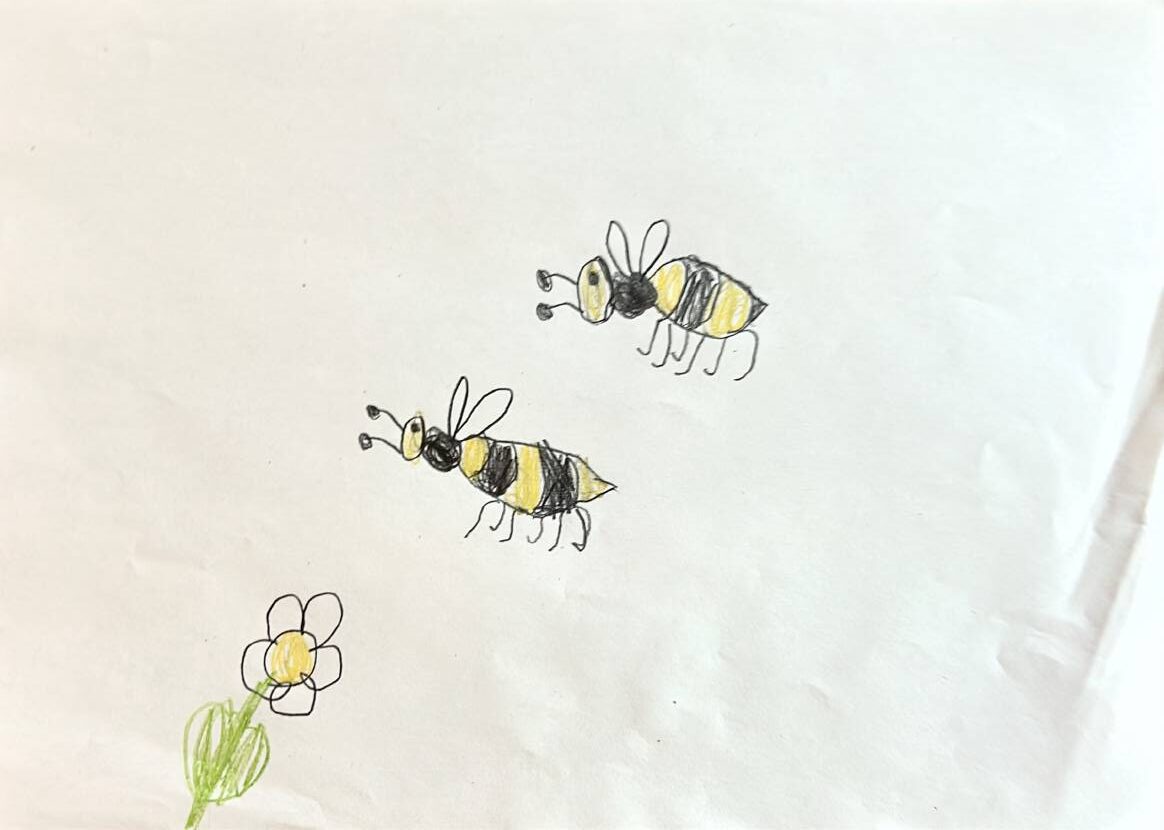 Bienenstunde Bienen 3 page 19 rotated