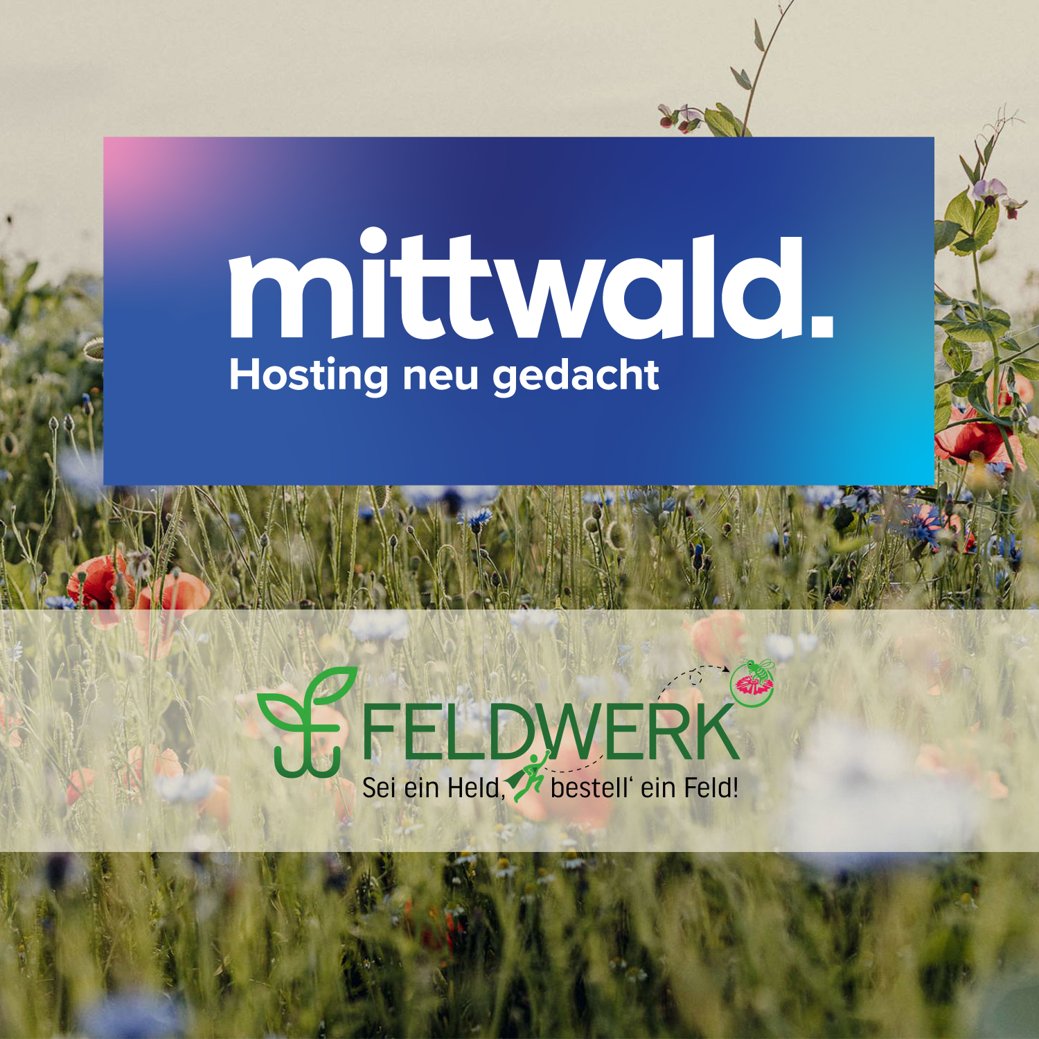 Kooperationspartner_mittwald