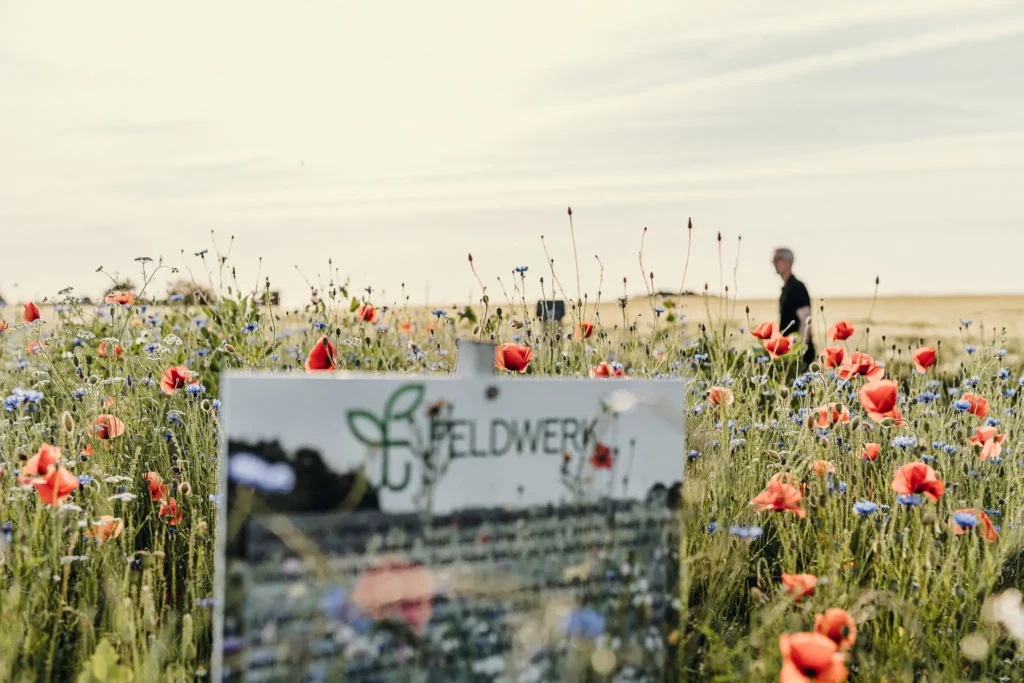 Feldwerk Blühflächenbild