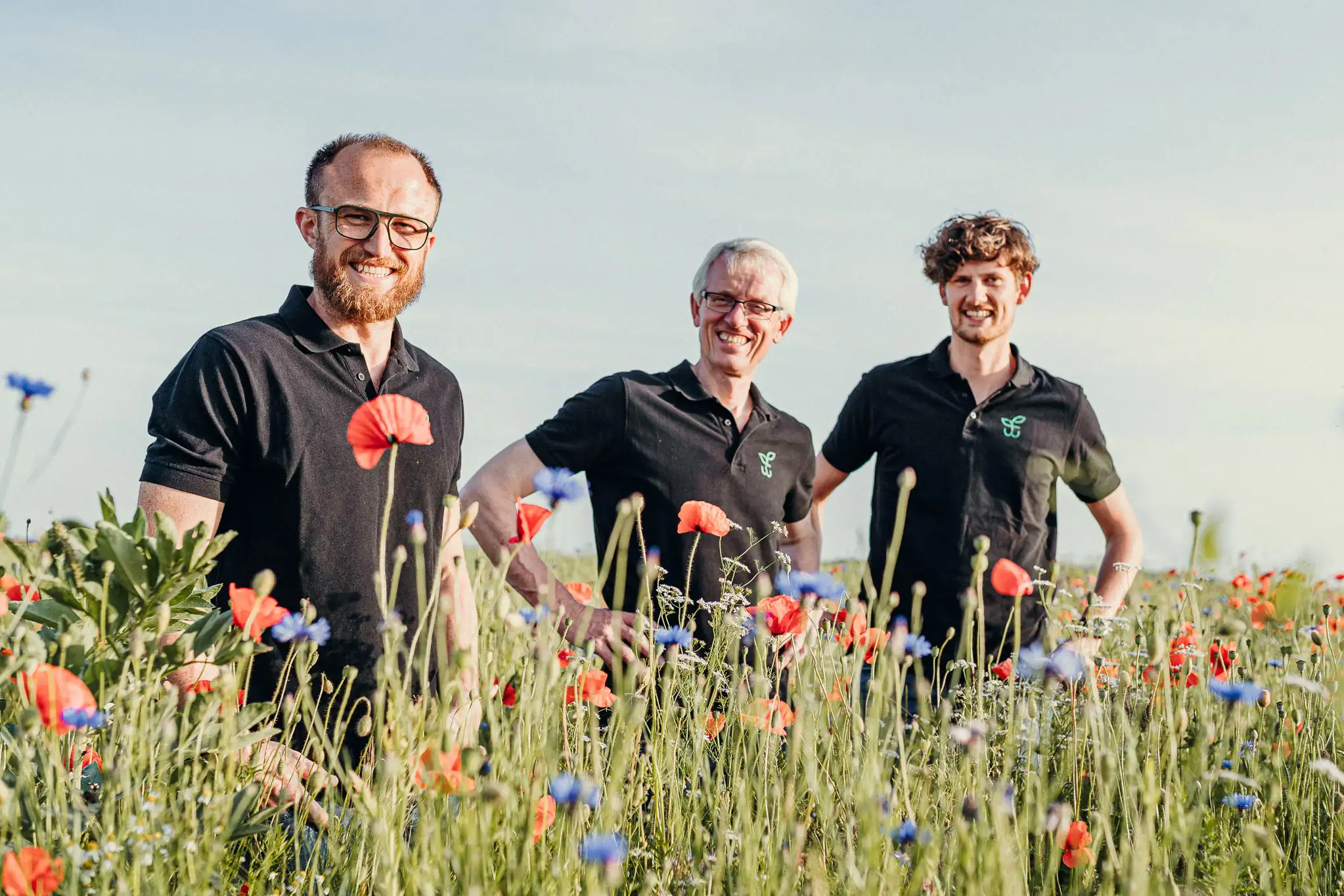Feldwerk-Teambild