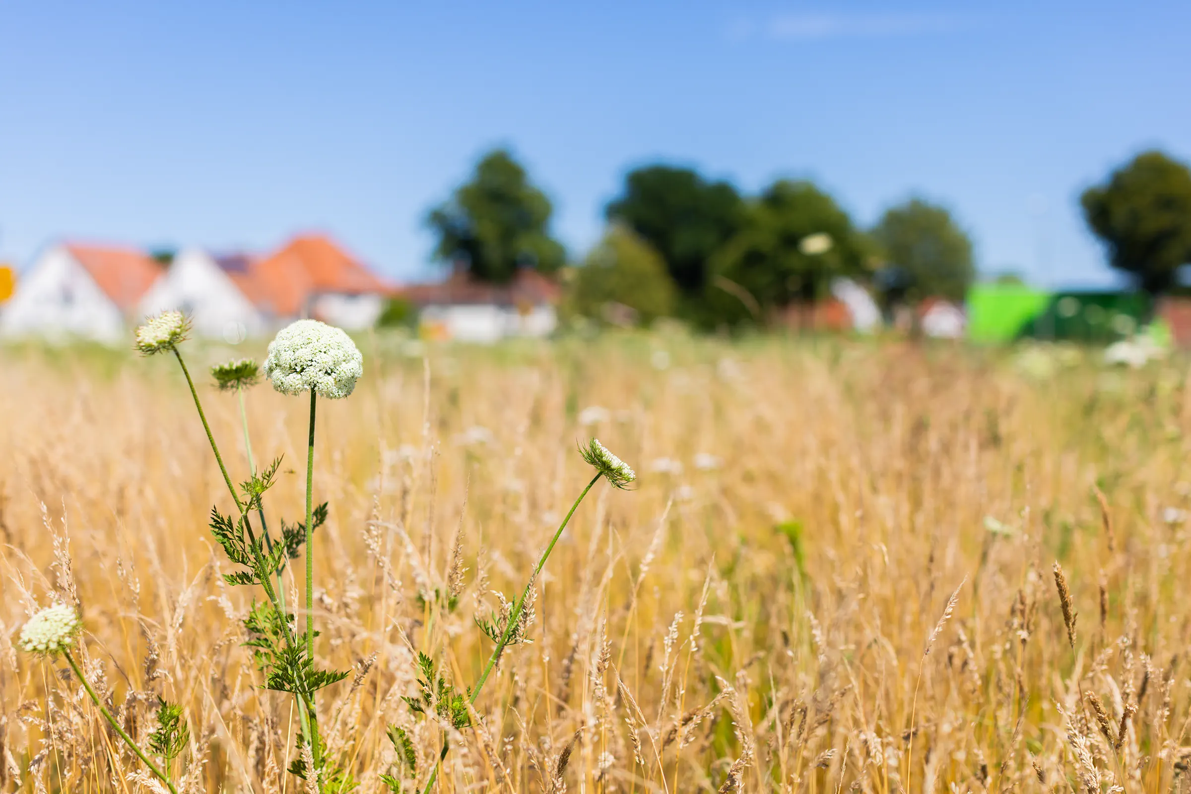 Partnerschaft_mit_Wirkung
