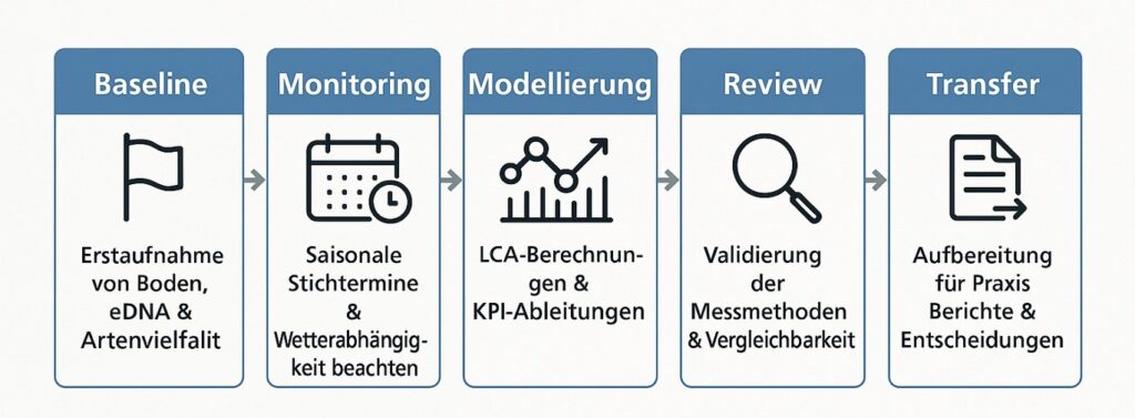 Forschungsprojekt Projektplan