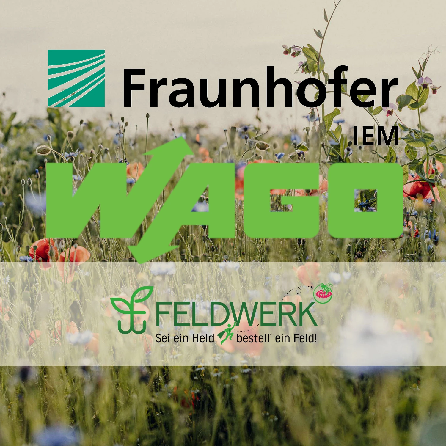 Projektkkoperation Wago-Fraunhofer