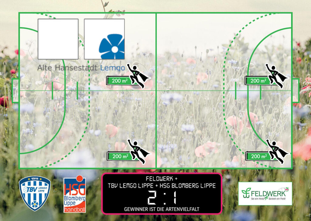 Lipper_Heimatheld_Hansestadt_Lemgo